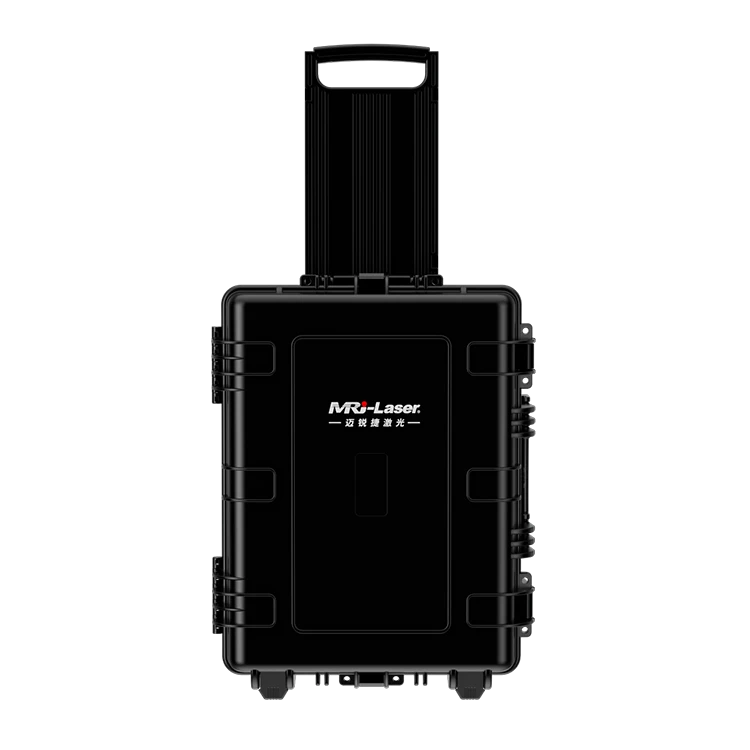 Compact Luggage Type Laser Cleaning Machine factory
